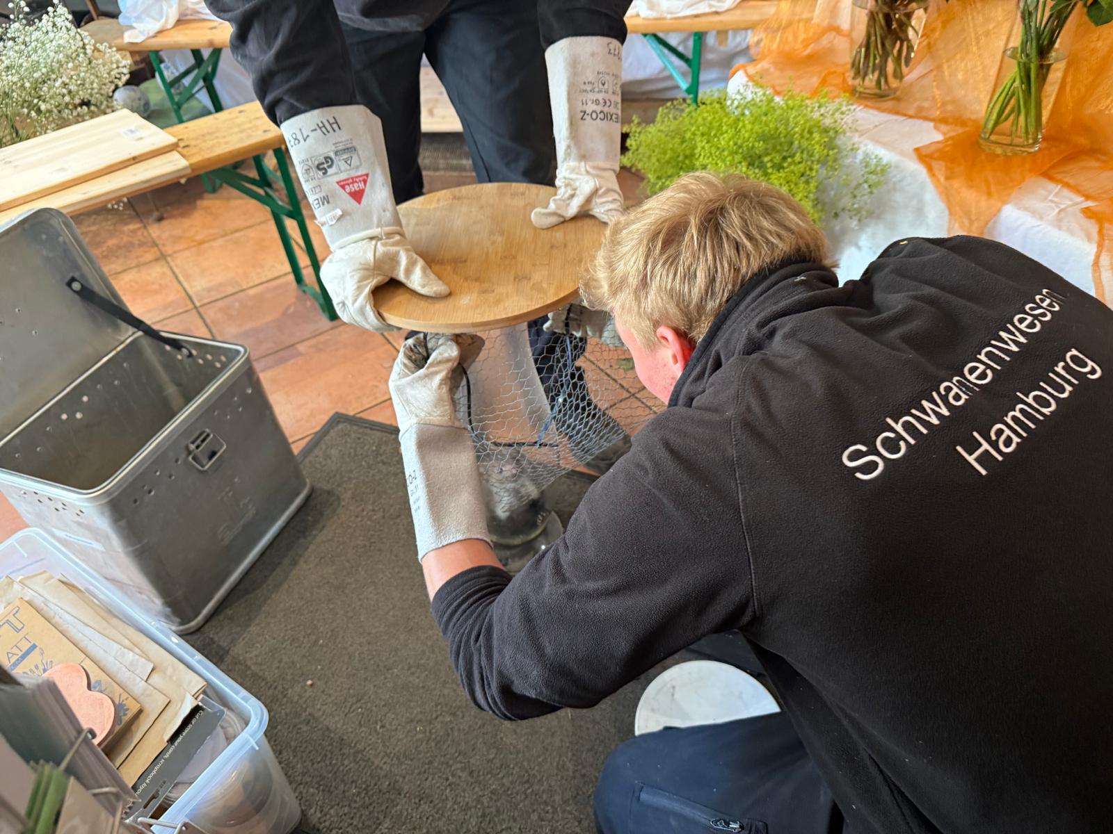 Am 21. Mai retten die Mitarbeitenden des Hamburger Schwanenwesen einen Marder aus einem Blumenladen in Hamburg-Nord.