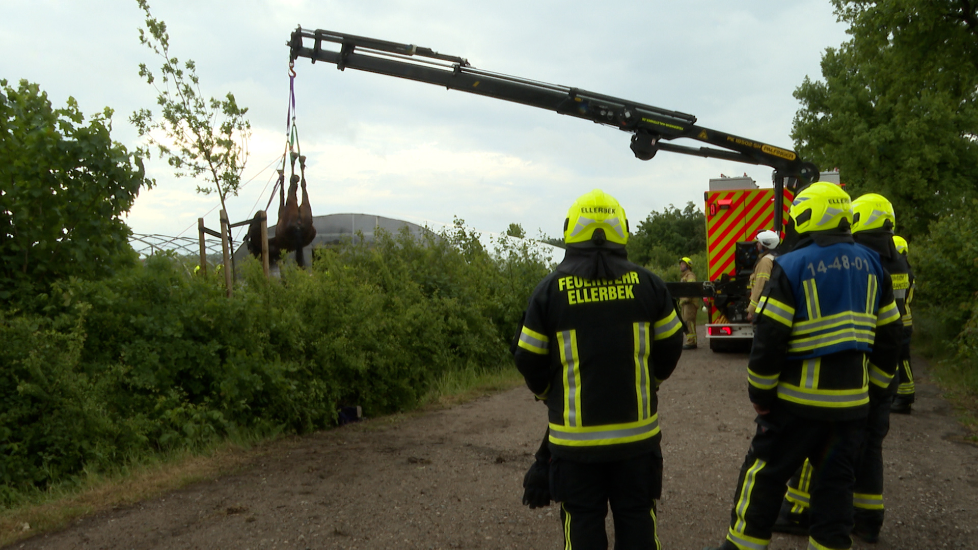 Die Feuerwehr Ellerbek rettet das Pferd mit einem Kran aus dem Graben.