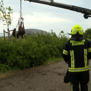 Die Feuerwehr Ellerbek rettet das Pferd mit einem Kran aus dem Graben.