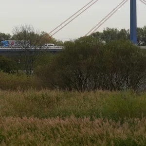 Fahrzeuge fahren über die Norderelbbrücke auf der Autobahn A1.