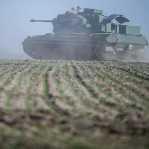 Panzer auf Feld
