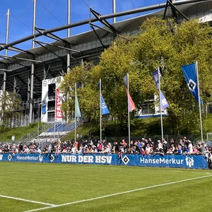 Großer Andrang beim HSV-Training: Etwa 500 Fans verfolgten am Donnerstag im Volkspark die letzte öffentliche Einheit vor dem Darmstadt-Spiel.