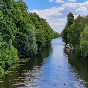Der wilde Wald am Ernst-August-Kanal