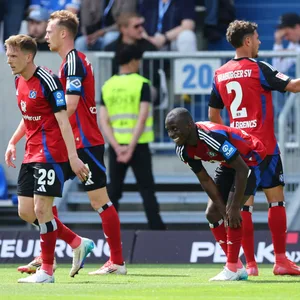 Die HSV-Spieler klatschen sich ab