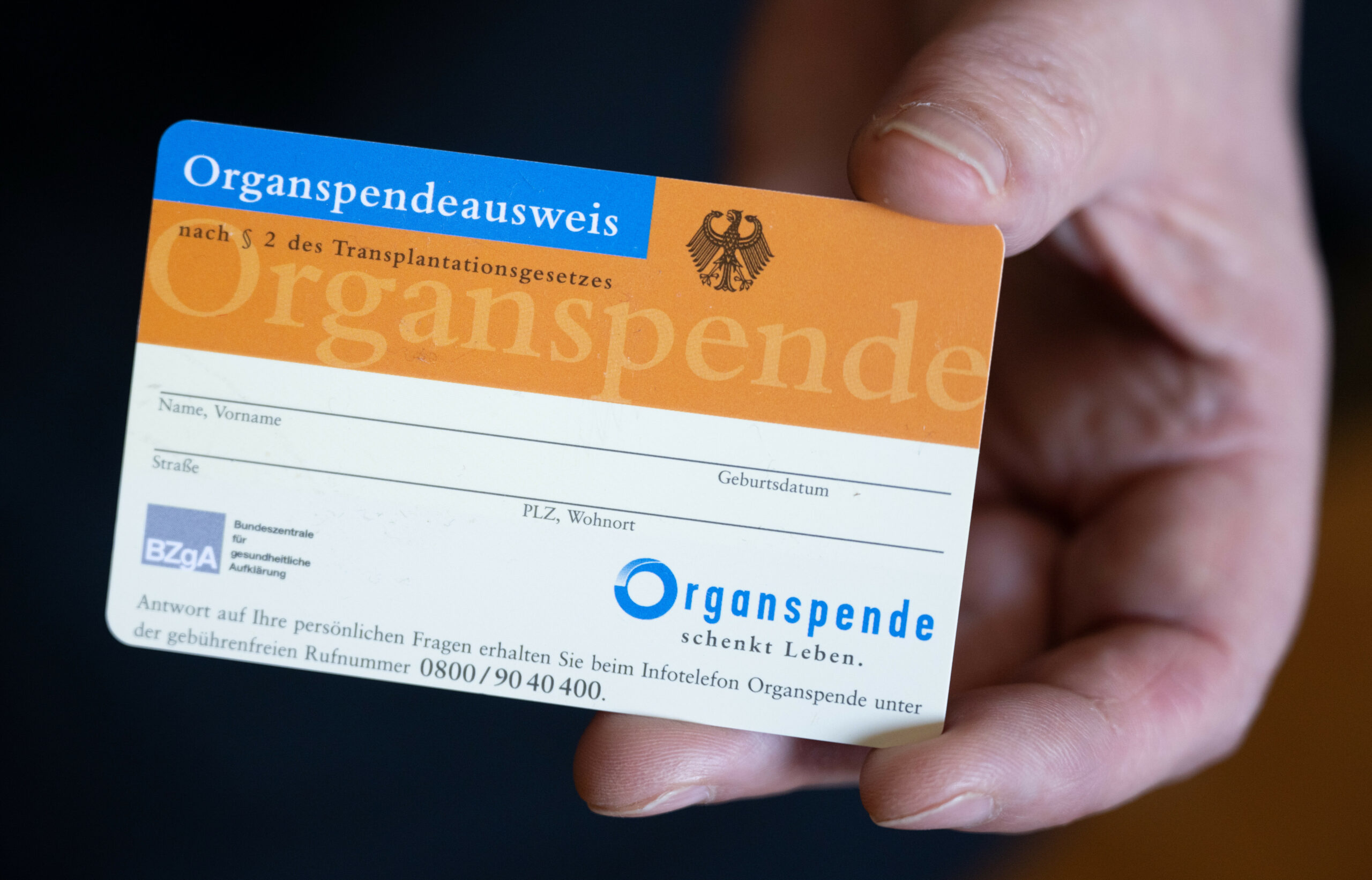 Eine Frau hält einen Organspendeausweis in ihren Händen.