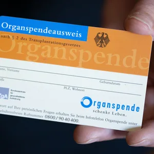 Eine Frau hält einen Organspendeausweis in ihren Händen.