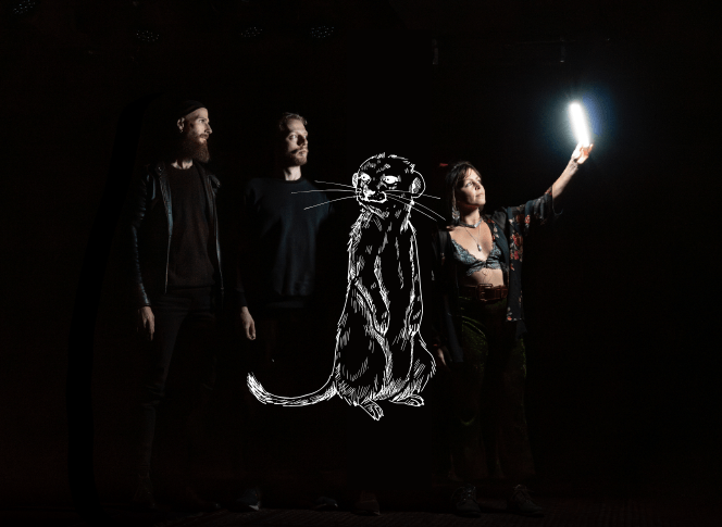 Die Band Venera