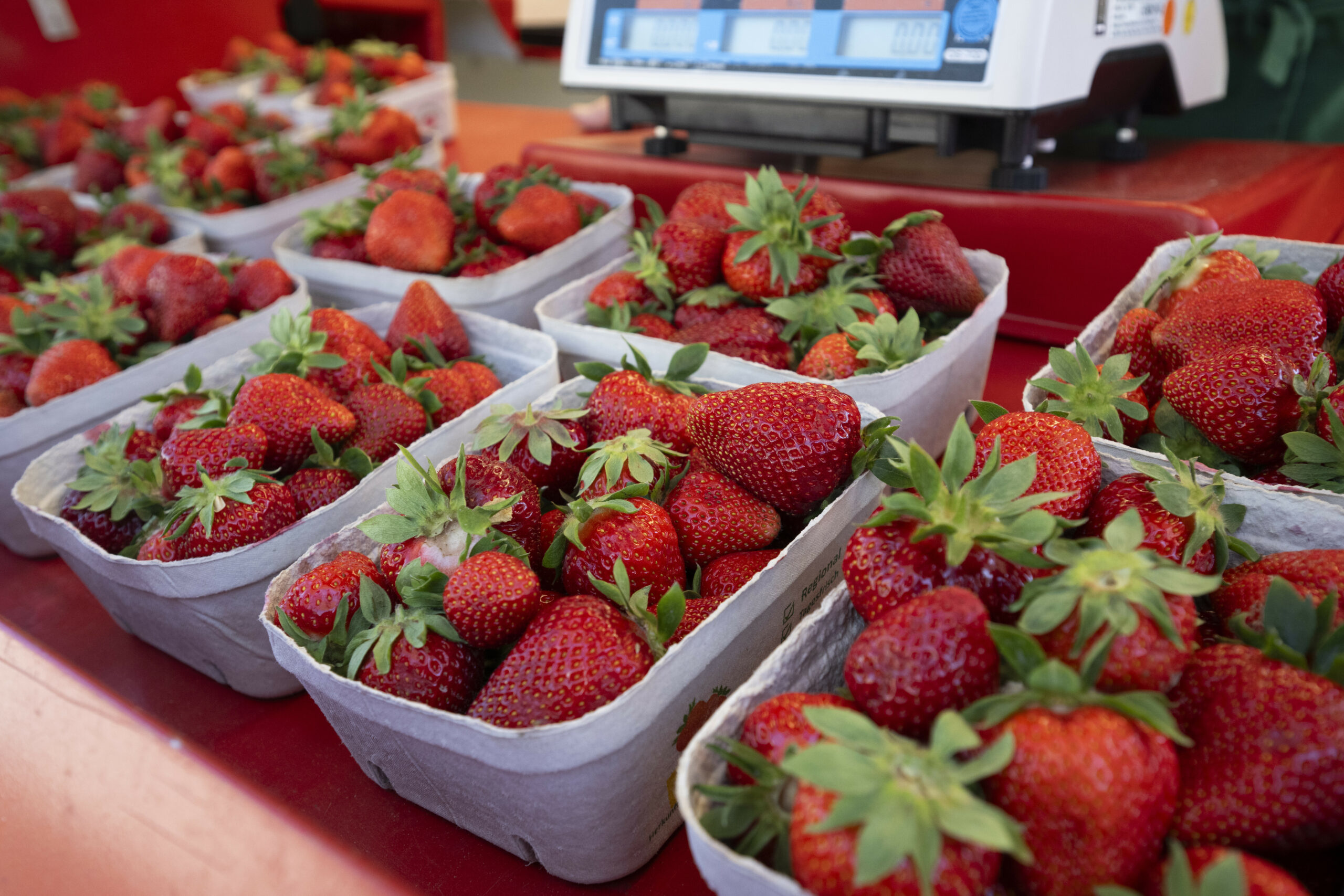 Erdbeeren in Schalen