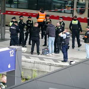 In Hamburg verletzte eine Frau 18 Menschen mit einem Messer. Zuvor war sie aus der Psychiatrie entlassen worden.
