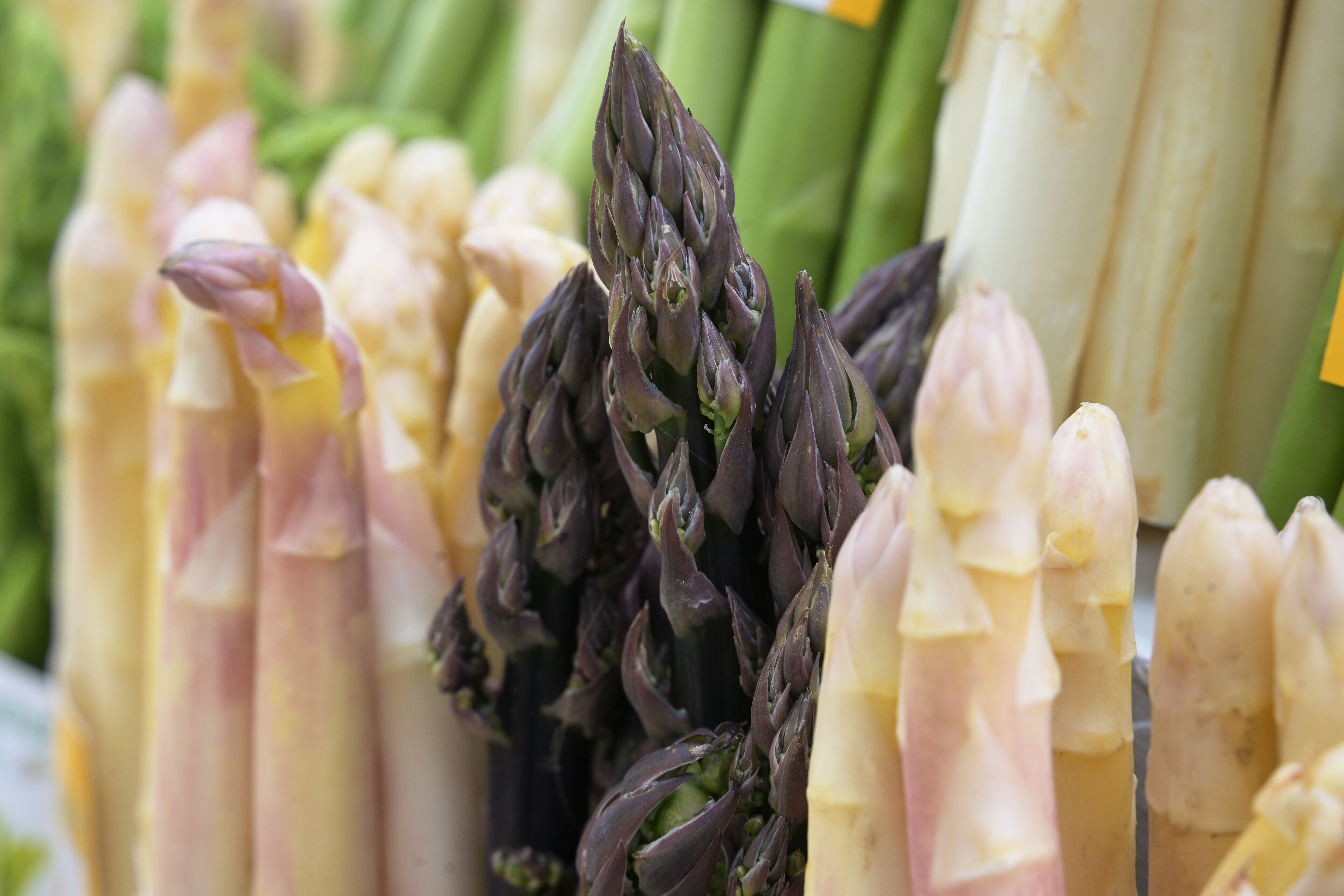 Spargel