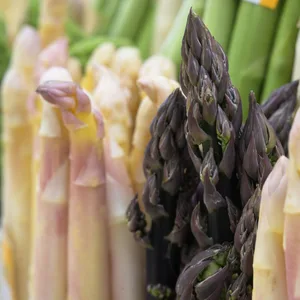 Spargel