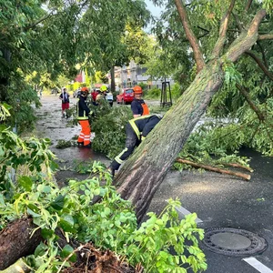 Einsatzkräfte der Feuerwehr arbeiten im Berliner Stadtteil Heiligensee an einem durch schwere Böen entwurzelten Baum.
