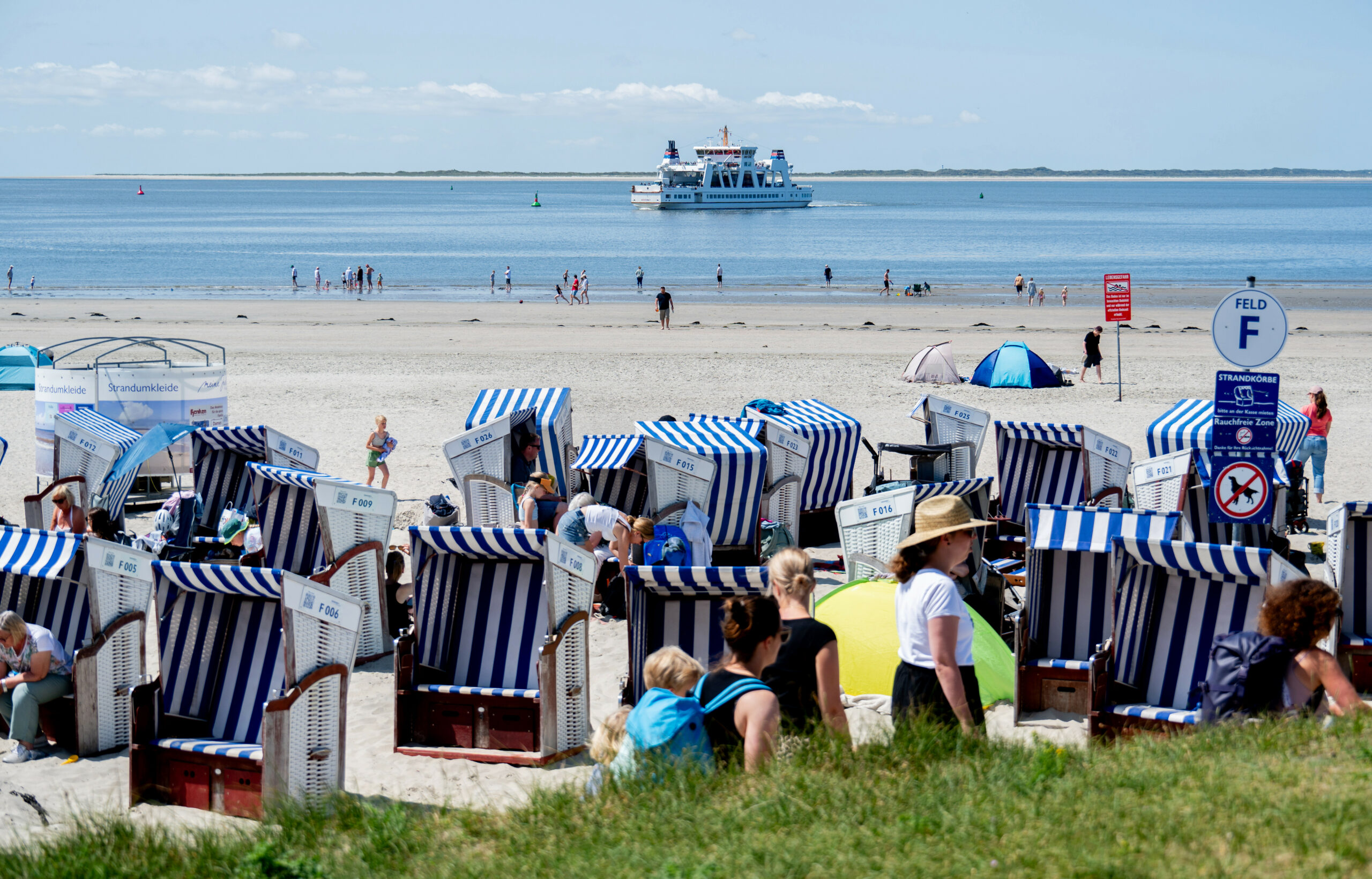 Zahlreiche Urlauber sitzen bei sonnigem Wetter in den Strandkörben.