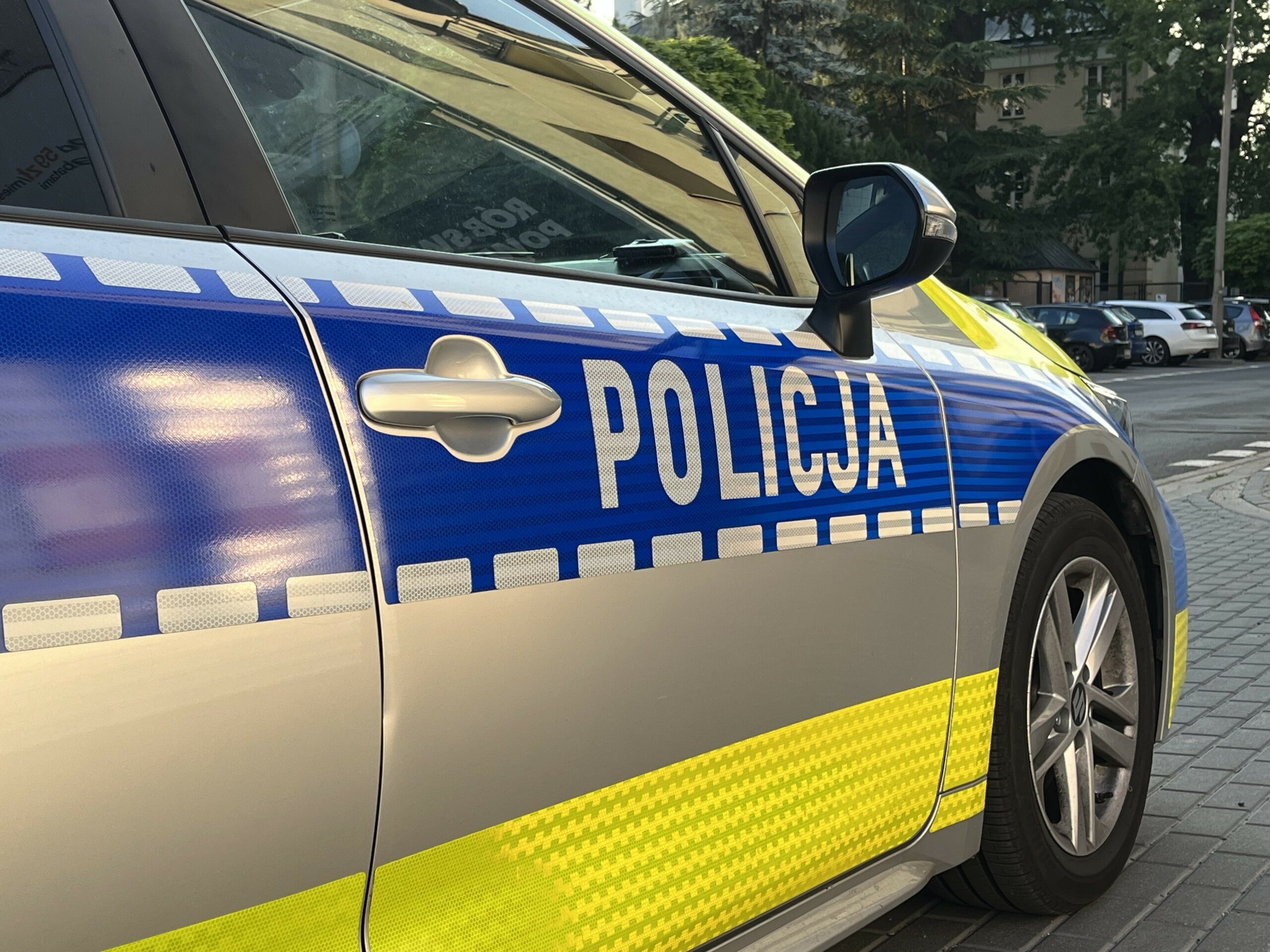 Polnische Polizei