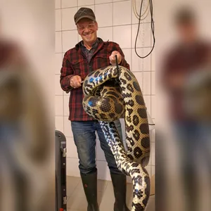 Christian Erdmann, Leiter des Wildtier- und Artenschutzzentrums in Klein Offenseth-Sparrieshoop, mit Ben, der Gelben Anakonda, die in Quickborn gefunden wurde.