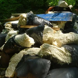Gefüllte Müllbeutel liegen auf einem Waldboden