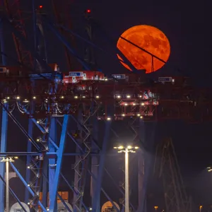 Der Erdbeermond im am 11. Juni 2025 über dem Hamburger Hafen.