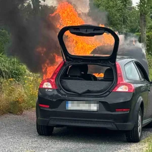 Auto geht auf Kreisstraße bei Jork in Flammen auf – Fahrer rettet sich im letzten Moment