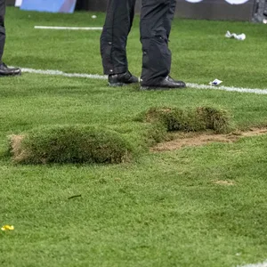 Beschädigter und ausgerissener Rasen, die Polizei positioniert sich vor den aufgebrachten Pariser Fans.
