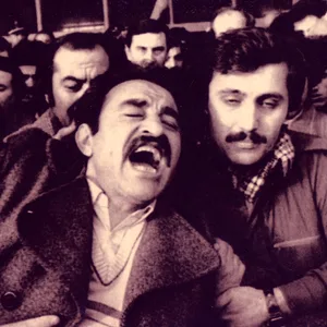 Avci