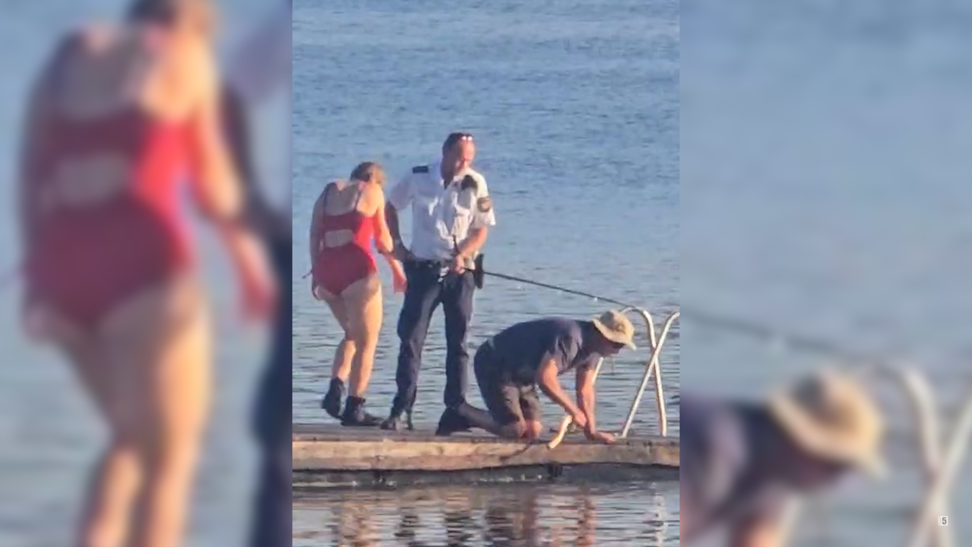Ein über zwei Meter langer und rund 90 Kilogramm schwerer Waller hat mehrere Badegäste am Brombachsee verletzt.