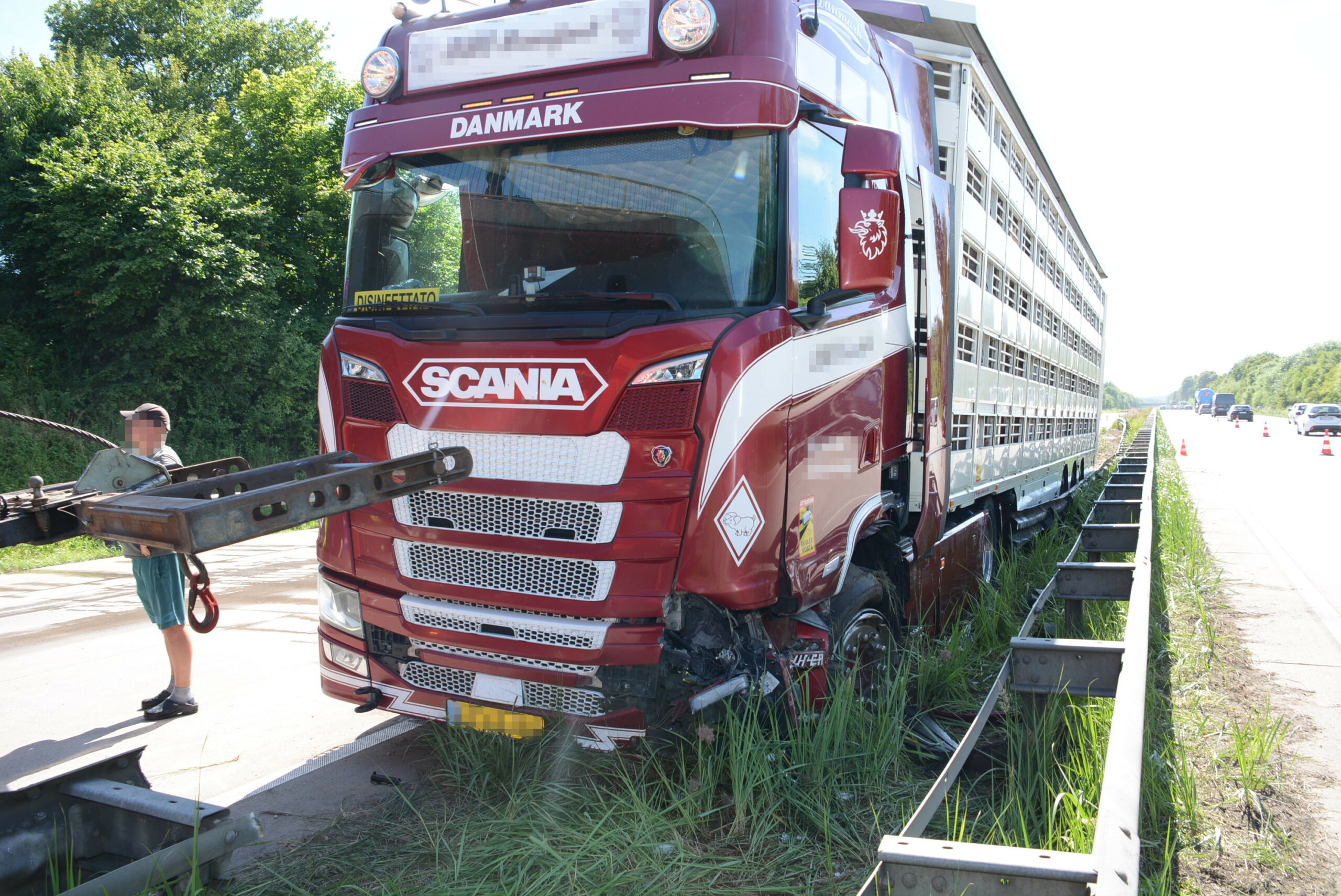 Der verunglückte Tiertransporter auf der A24 bei Schwarzenbek.