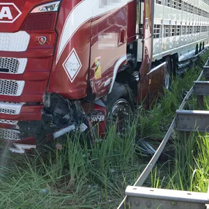 Der verunglückte Tiertransporter auf der A24 bei Schwarzenbek.
