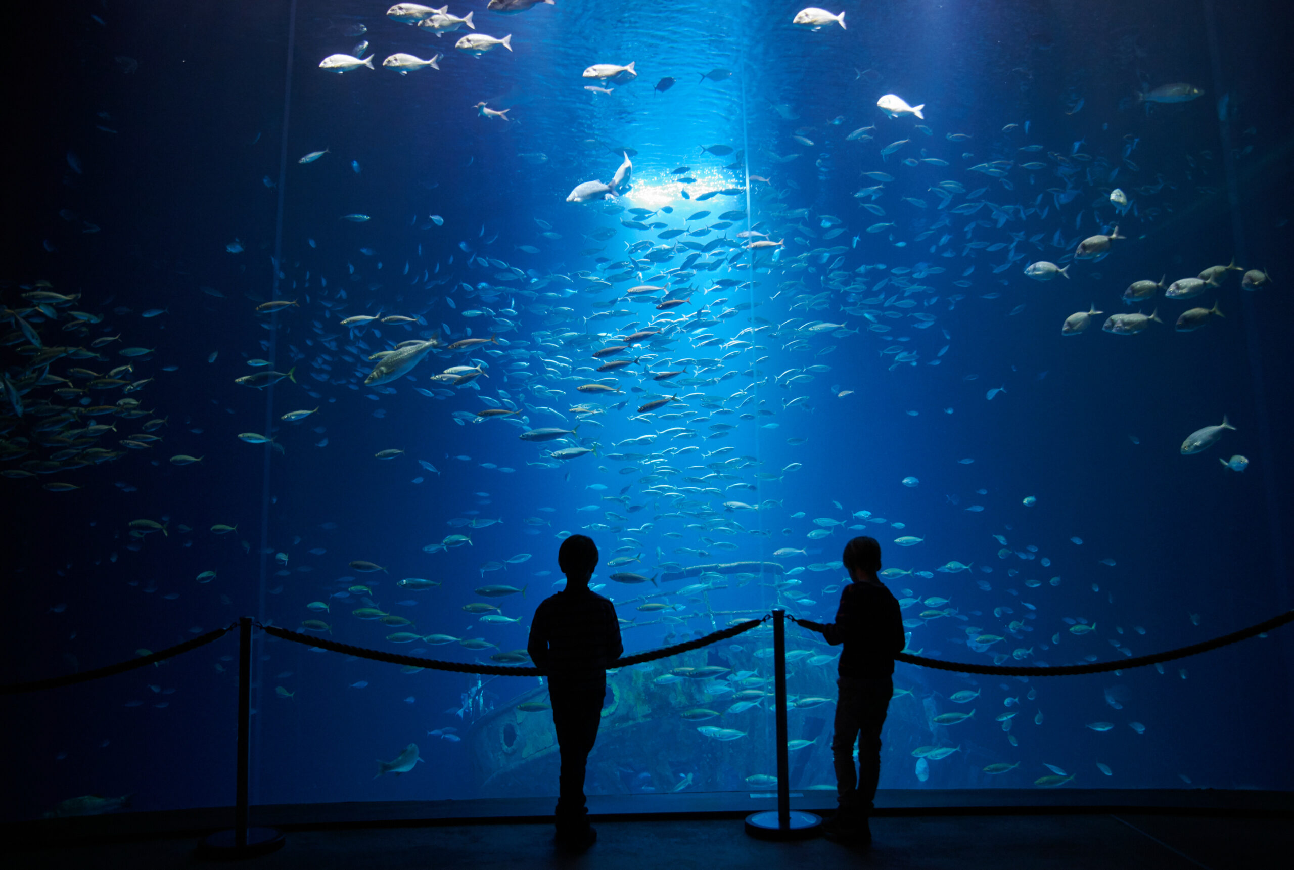 Ozeaneum