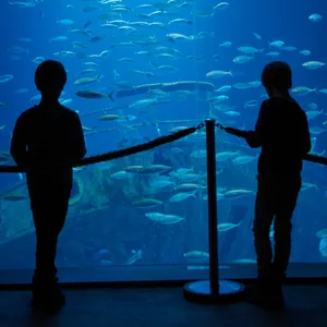 Ozeaneum