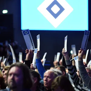Am 21. Juni wählen die HSV-Mitglieder ihr neues Präsidium. Doch zuvor gibt es reichlich Zoff.
