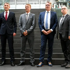 AfD-Fraktionen