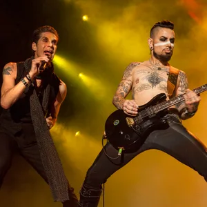 Perry Farrell und Gitarrist Dave Navarro