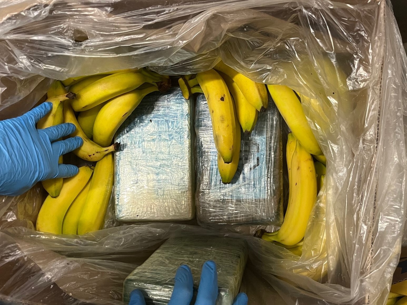 Kokain in Bananenkisten versteckt – Razzia in Hamburg und Niedersachsen