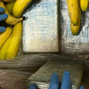 Kokain in Bananenkisten versteckt – Razzia in Hamburg und Niedersachsen