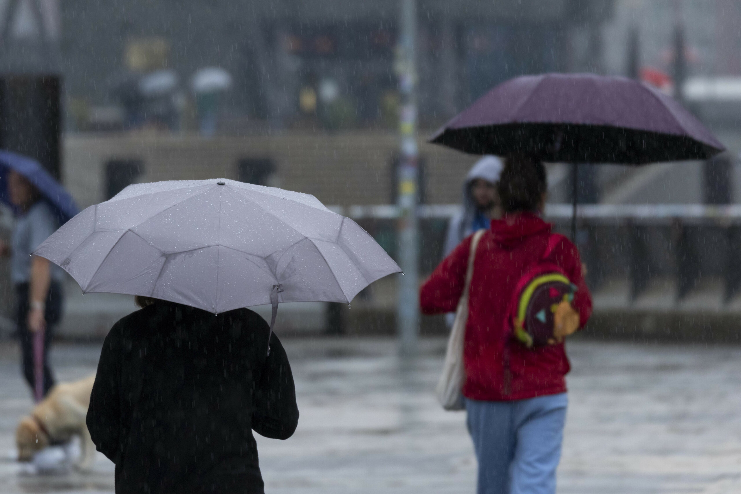 Touristen mit Regenschirmen unterwegs im Regen an den Landungsbrücken im Hafen von Hamburg