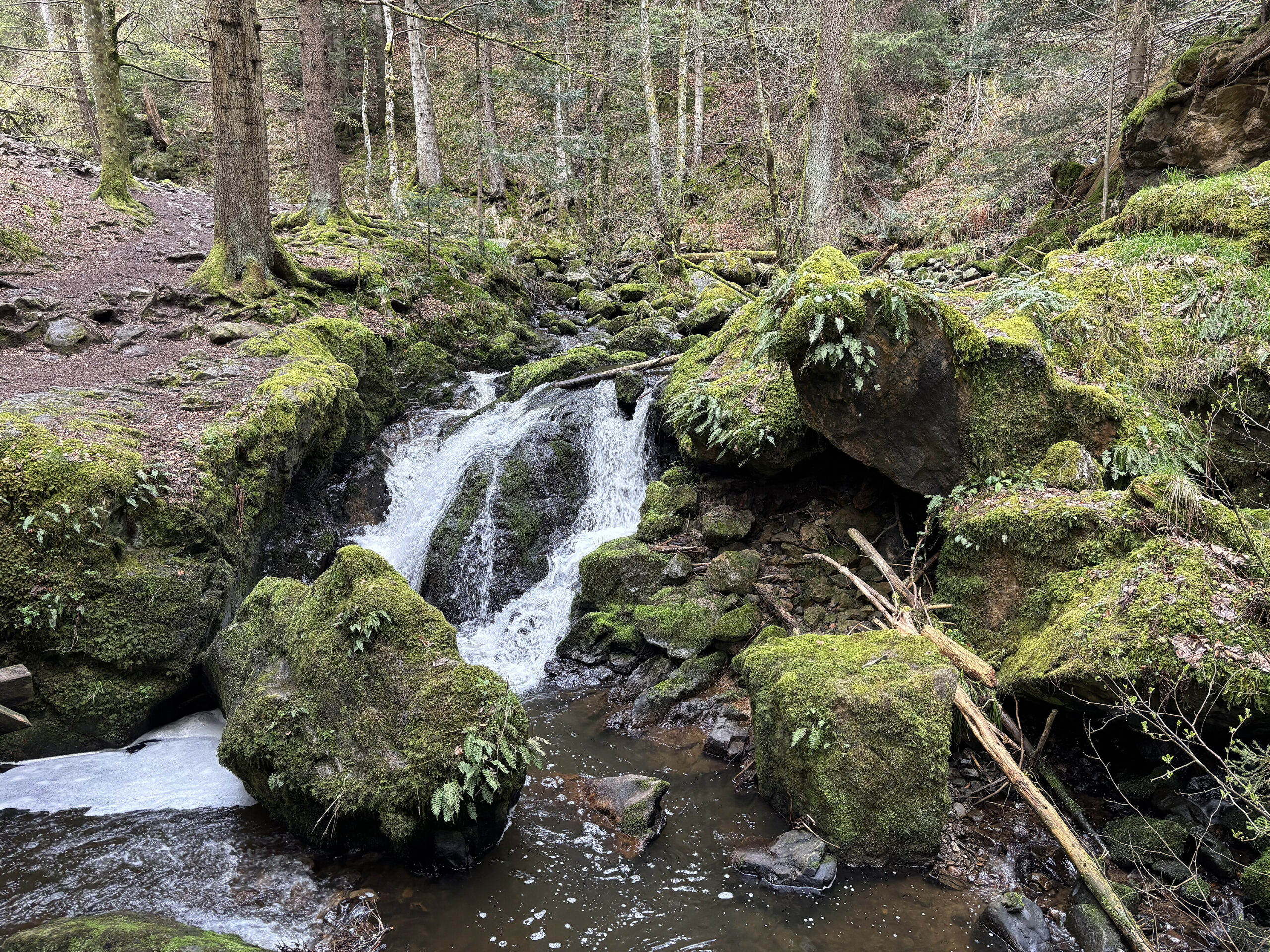 Bachlauf