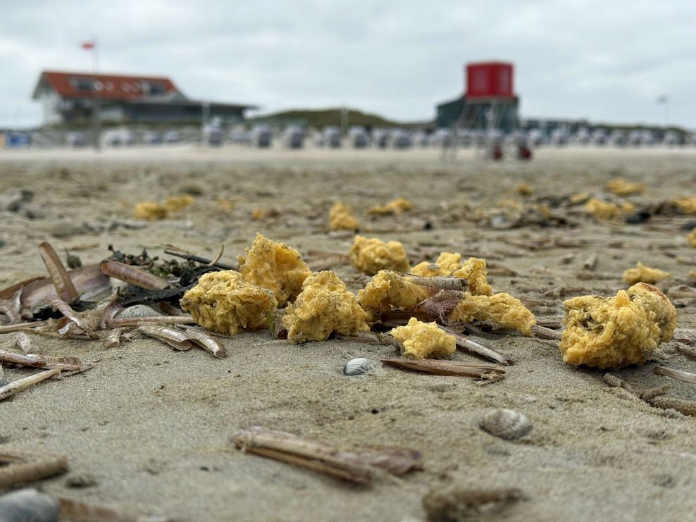 Gelbe klumpige Bröckchen: Paraffin an einem Nordseestrand.