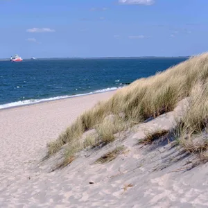 Der Strand von Sylt bei Sonnenschein.