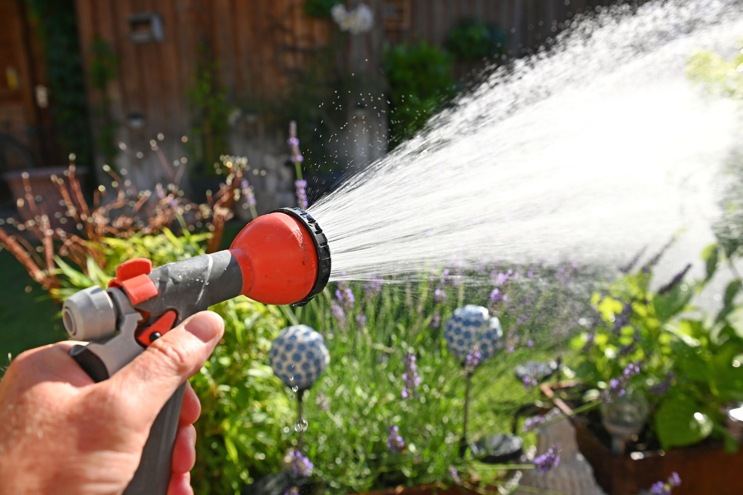 Ein Mann bewässert seinen Garten