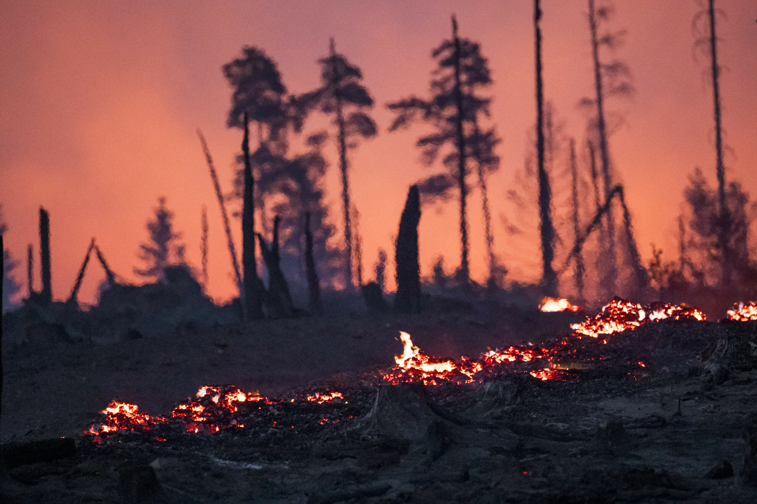 Waldbrand in der Saalfelder Höhe. Flammen ziehen sich über den Waldboden.