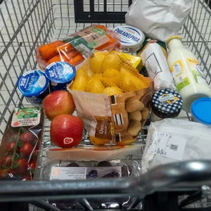 Einkaufswagen mit Lebensmitteln