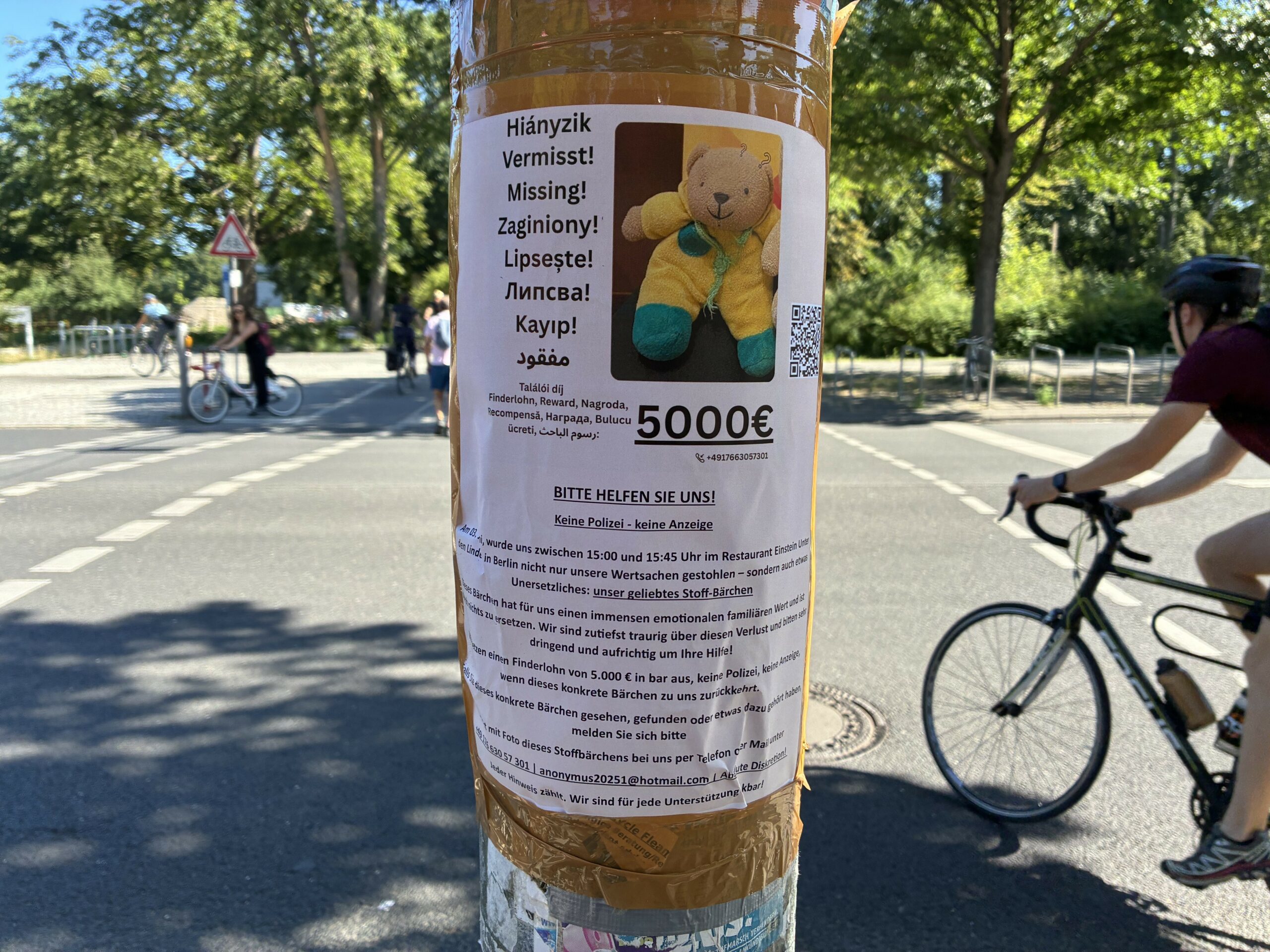 Suchplakat an Ampelmast