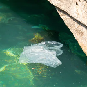 Eine Plastiktüte treibt im klaren Wasser. (Symbolbild)