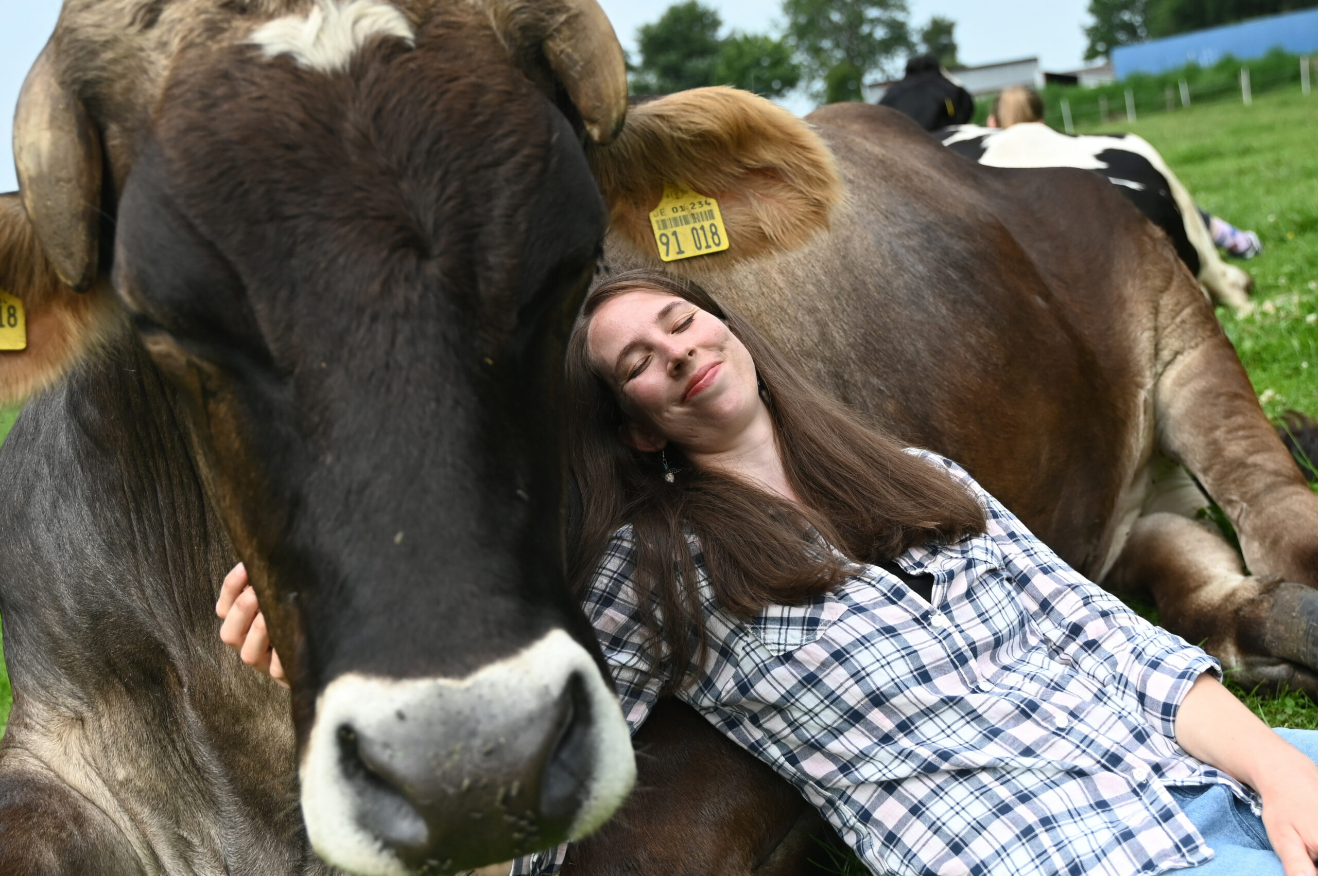Kuh, Frau, kuscheln