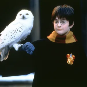 Ein Foto aus „Harry Potter und der Stein der Weisen.“ Der junge Harry hält seine Eule auf dem Arm.