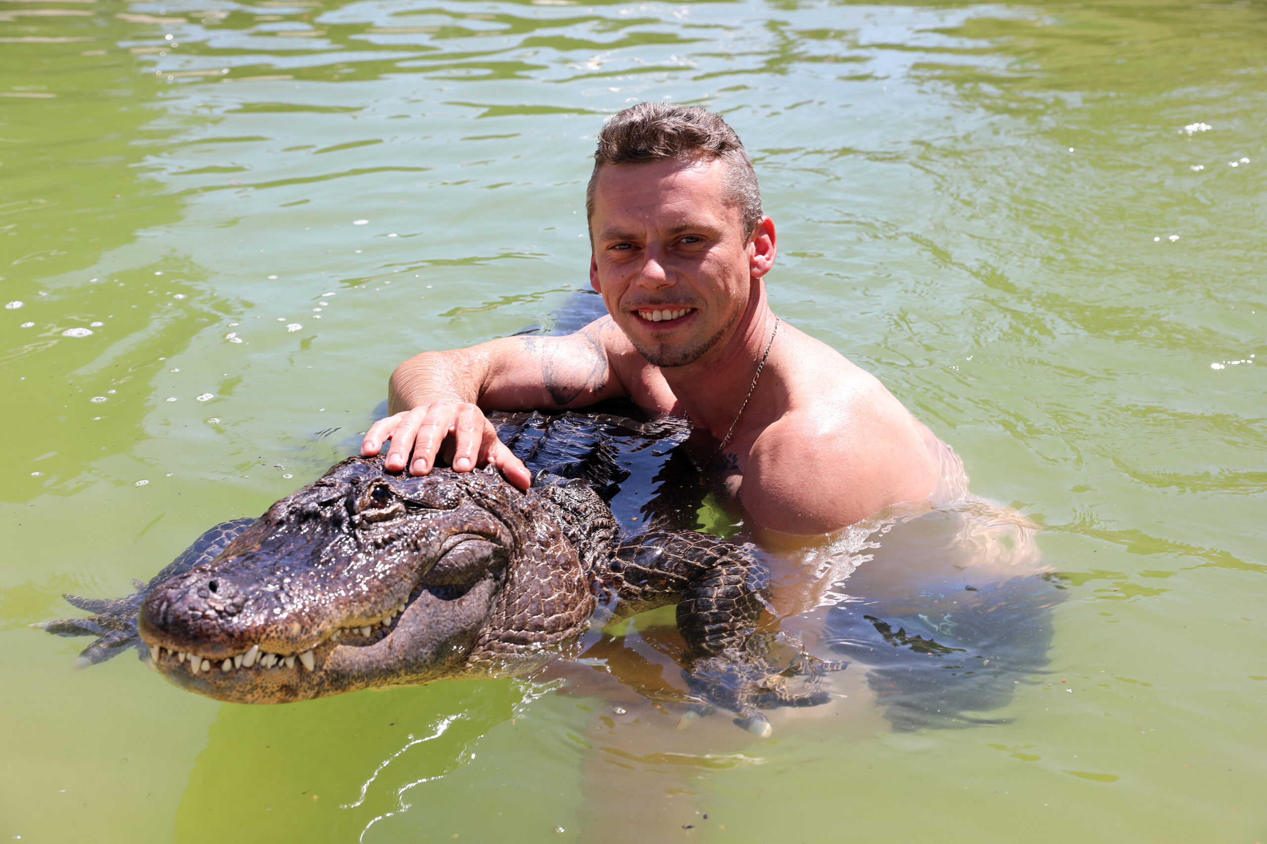 Mann mit Alligator im Pool