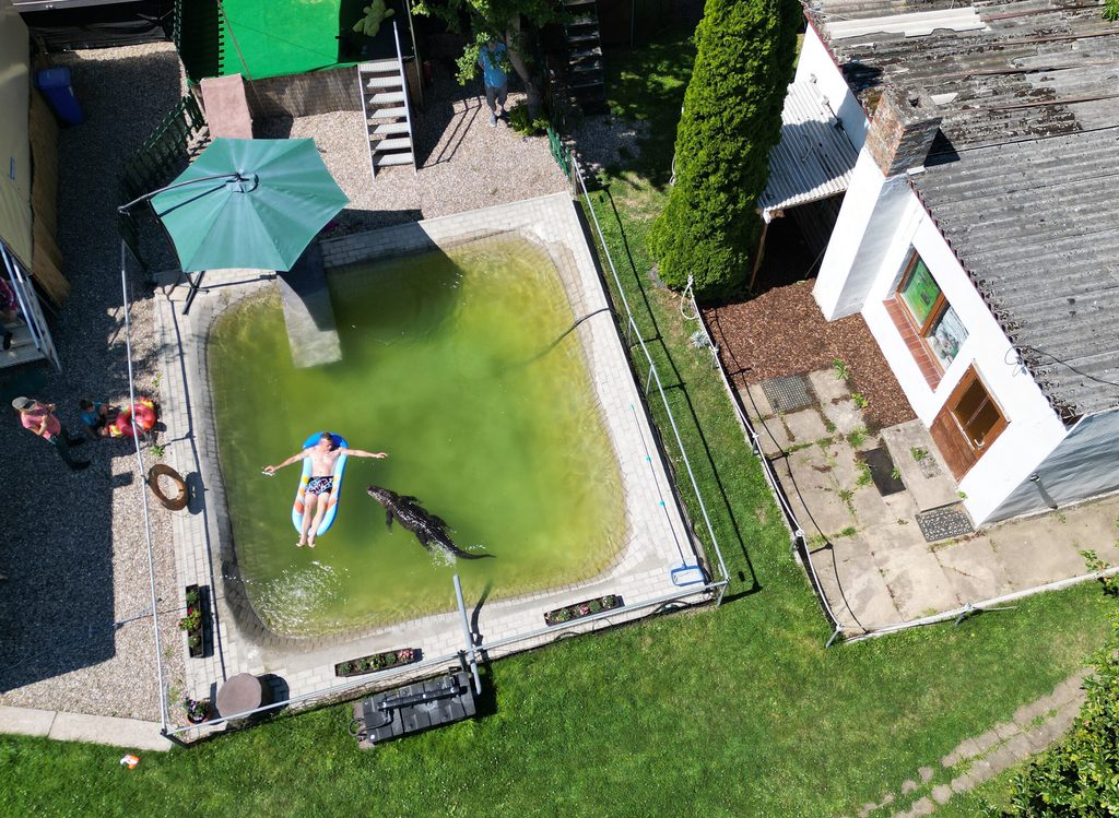 Garten mit Kroko-Pool von oben