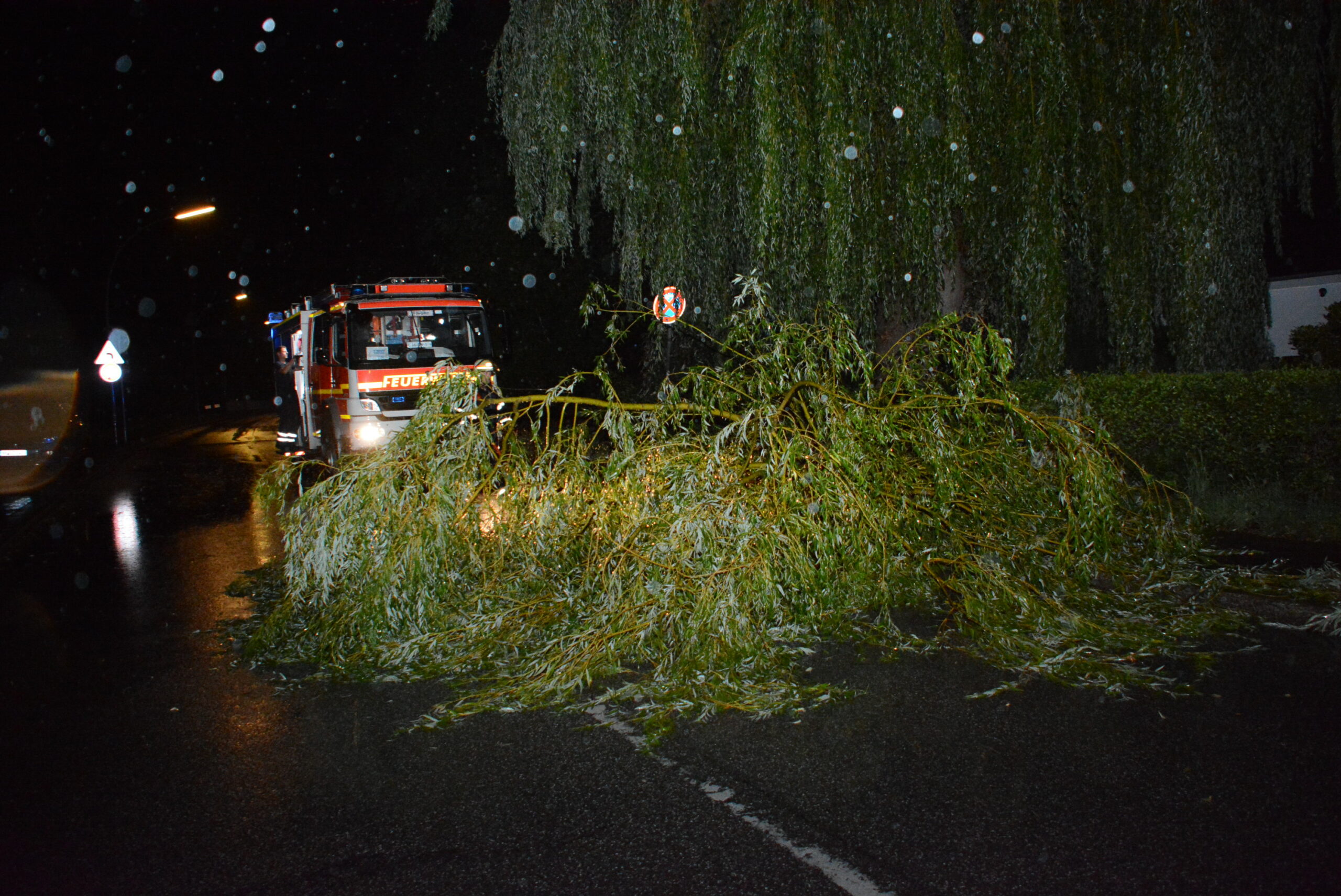Baum liegt quer auf der Straße