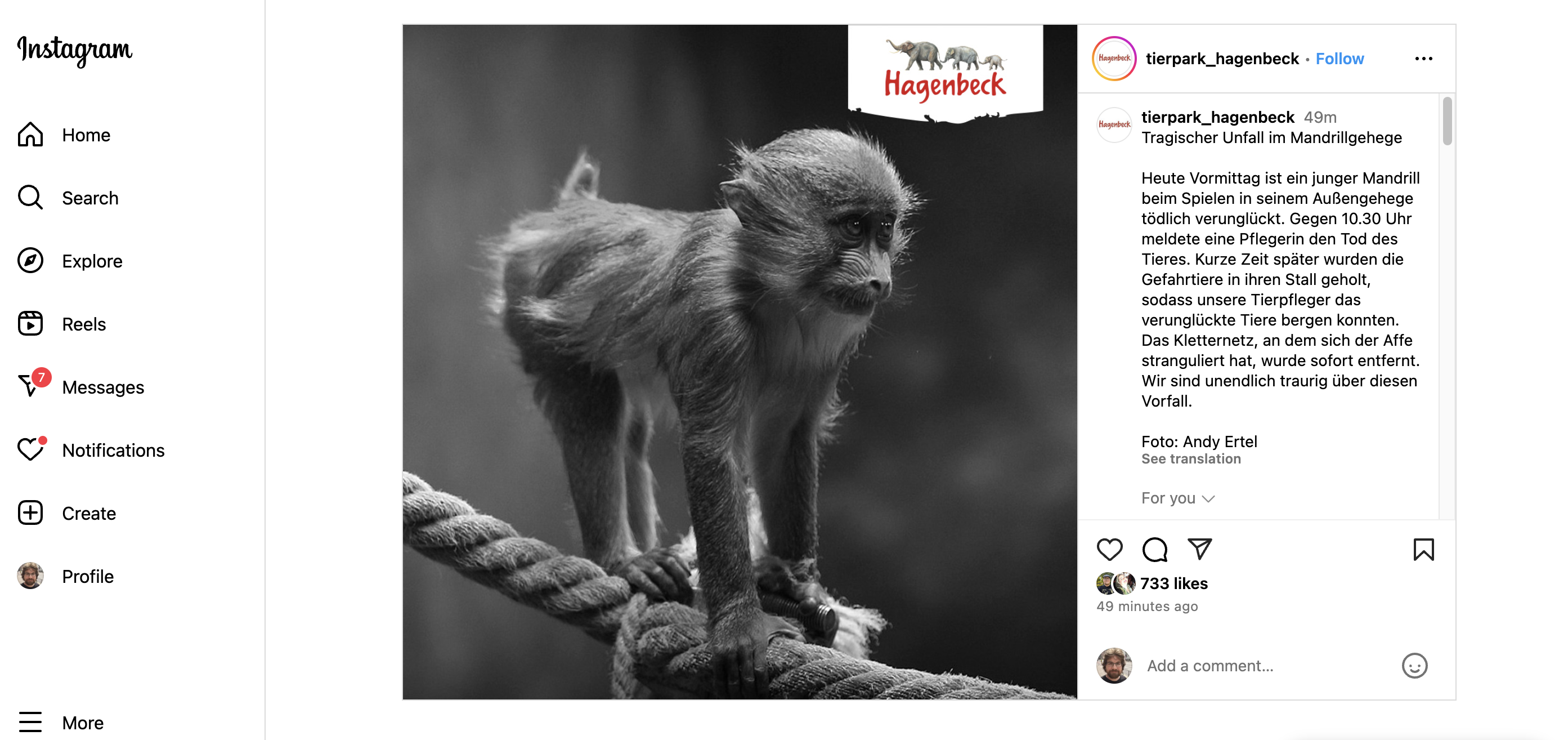 Mit diesem Instagram-Post gab der Tierpark Hagenbeck den Tod des jungen Affen bekannt.