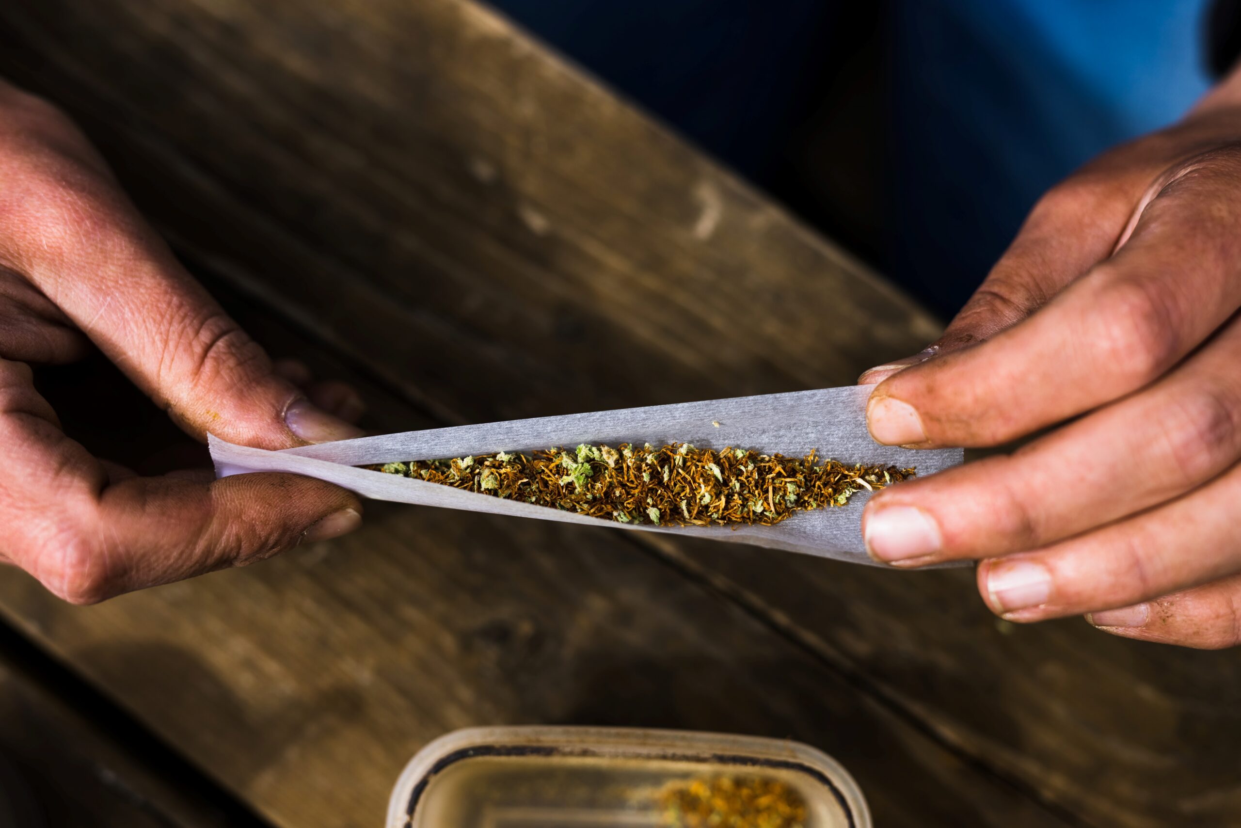 Ein Mann dreht einen Joint mit getrockneten Cannabisblüten (Marihuana).